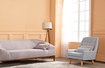 可剝(bao)離的塗料(liào)，你造嗎?