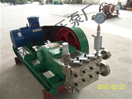 高(gāo)壓柱塞(sai)泵的工(gōng)作原理(lǐ)