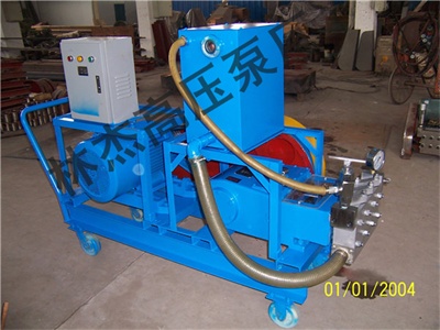 帶水箱移(yí)動式清洗泵